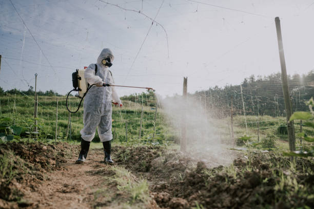 Best Affordable Pest Control Services  in Crittenden, KY
