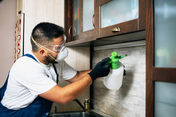 Best Flea Control Services  in Crittenden, KY