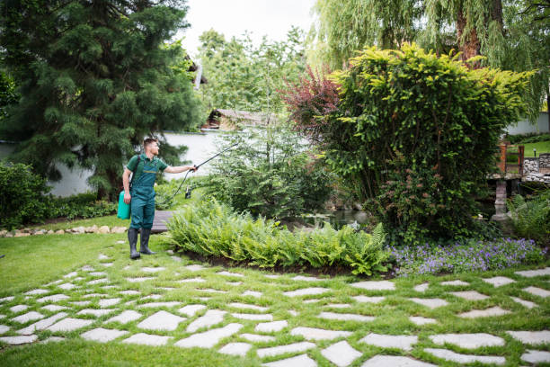 Best Affordable Pest Control Services  in Crittenden, KY
