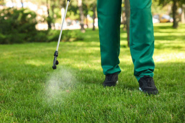 Best Pest Control for Homes  in Crittenden, KY