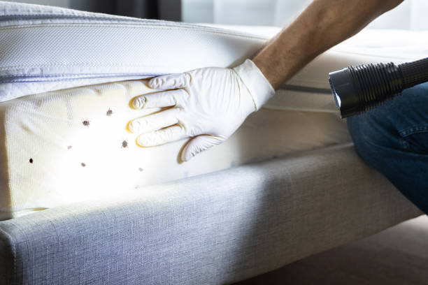 Best Best Pest Control Companies  in Crittenden, KY