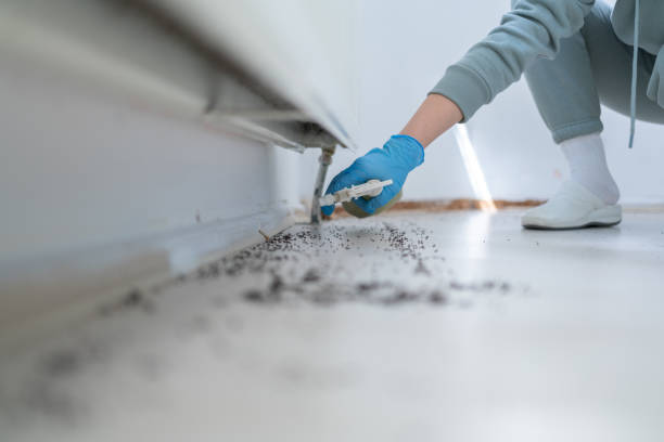 Best Residential Pest Control  in Crittenden, KY